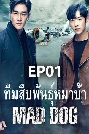 Mad Dog (2017) ทีมสืบพันธุ์หมาบ้า (ซับไทย) EP01