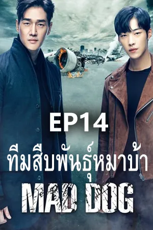 Mad Dog (2017) ทีมสืบพันธุ์หมาบ้า (ซับไทย) EP14